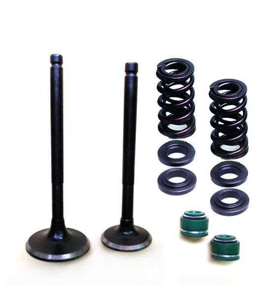Auto Parts Engine Valve Stem Seal Oil Seals